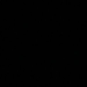 Meet your Posher, Connor